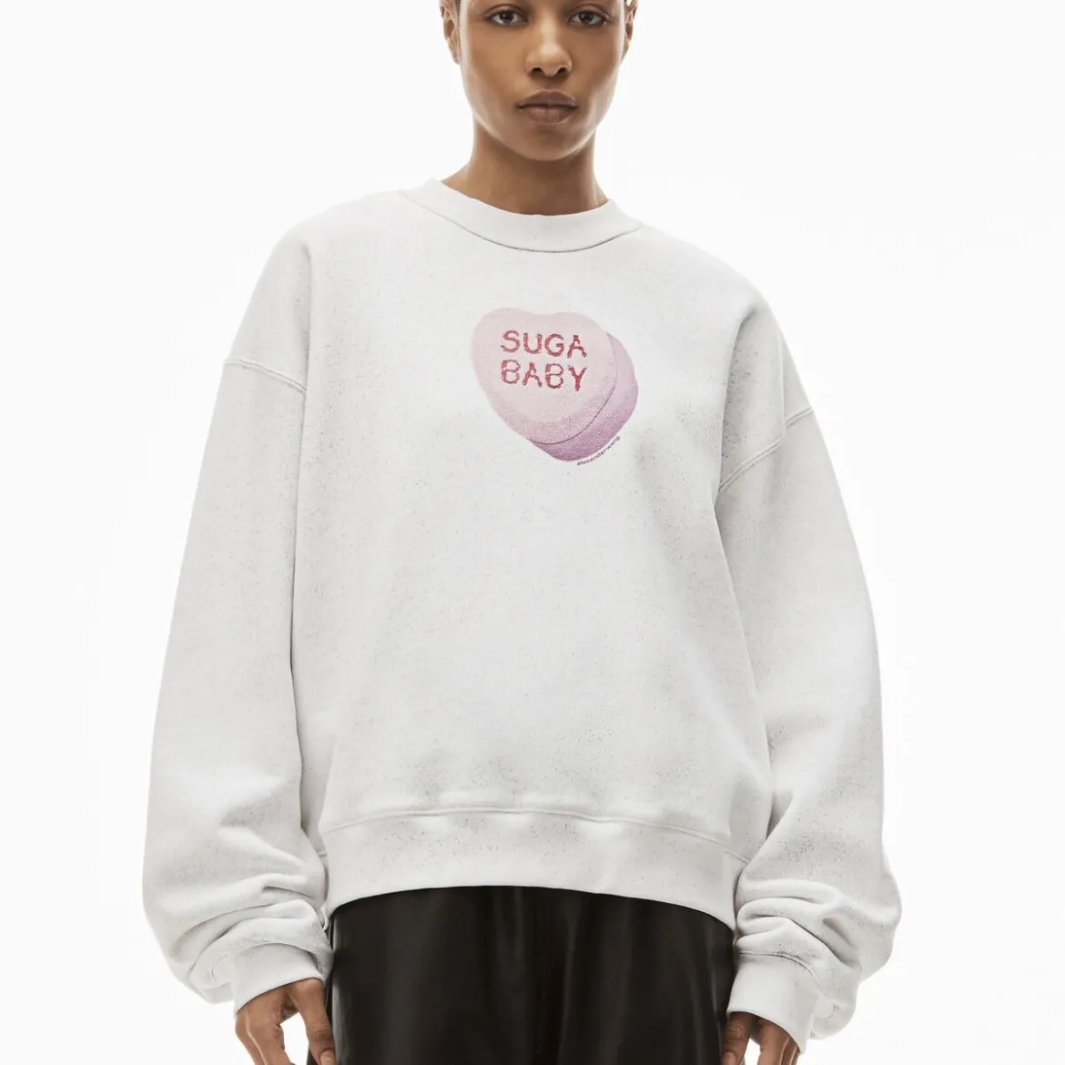 Alexander Wang  |Crew Neck Long Sleeves Cotton Logo Hoodies & Sweatshirts