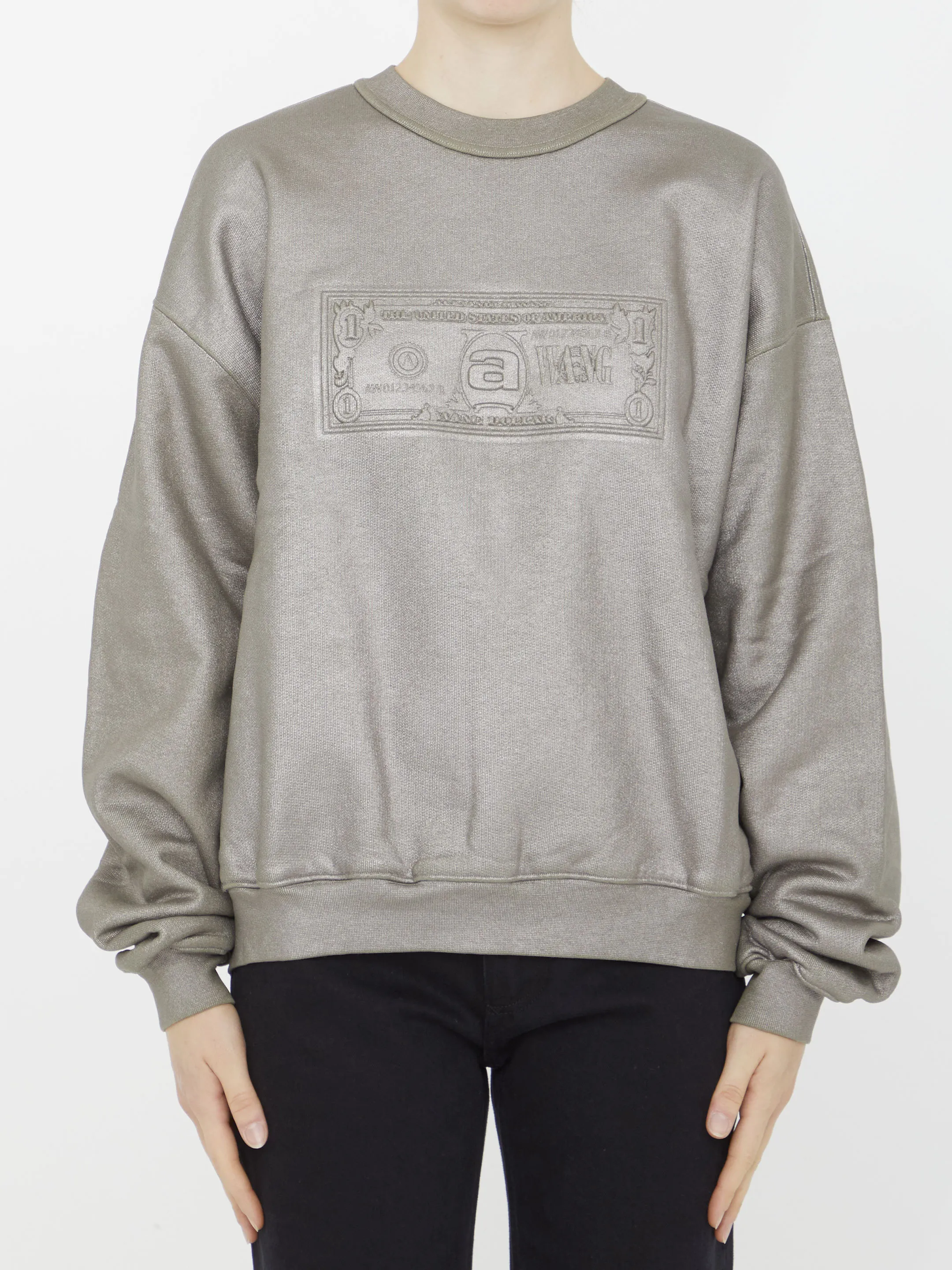 Alexander Wang  |Hoodies & Sweatshirts