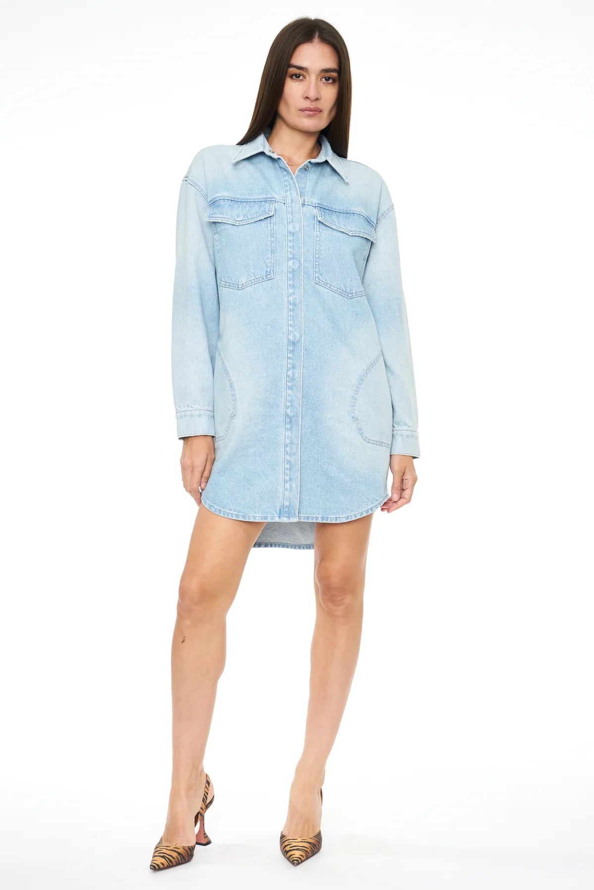 Pistola Rumor Button Down Shirt Dress in Channel