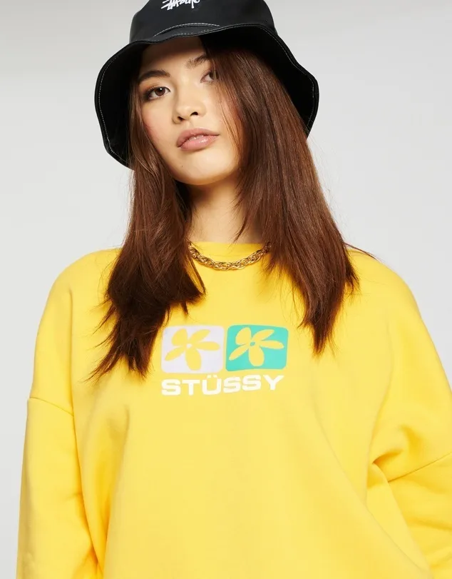 STUSSY  |Cotton Logo Skater Style Hoodies & Sweatshirts