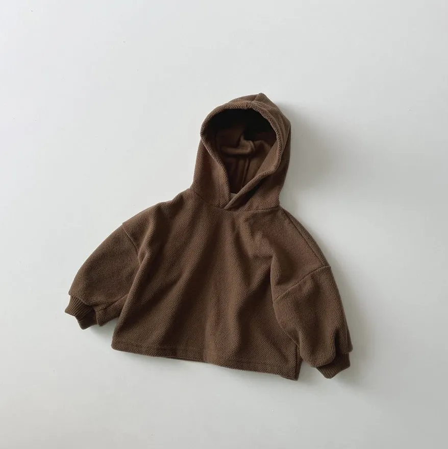 Toddler W24 Brushed Warm Textured Hoodie (1-6y) - 2 Colors